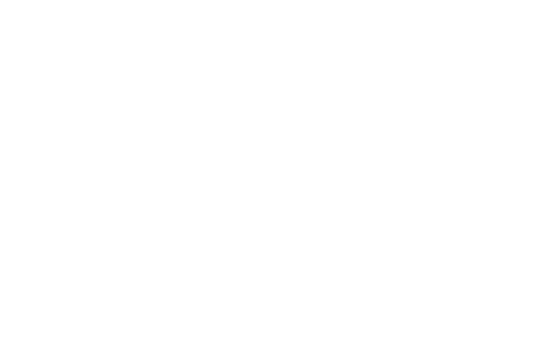 LionGroupMX